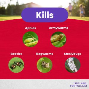 Eight Vegetable, Fruit & Flower Insect Control – Bonide – 16 oz